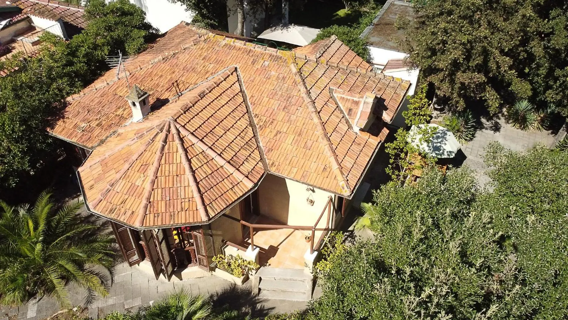 Exclusive Villa - Free Parking - In Centro - 400 Mq Garden Fregenae